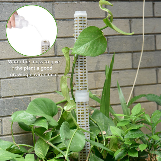 Plastic Plant Water Moss Pole Stick Riser Climbing Stand