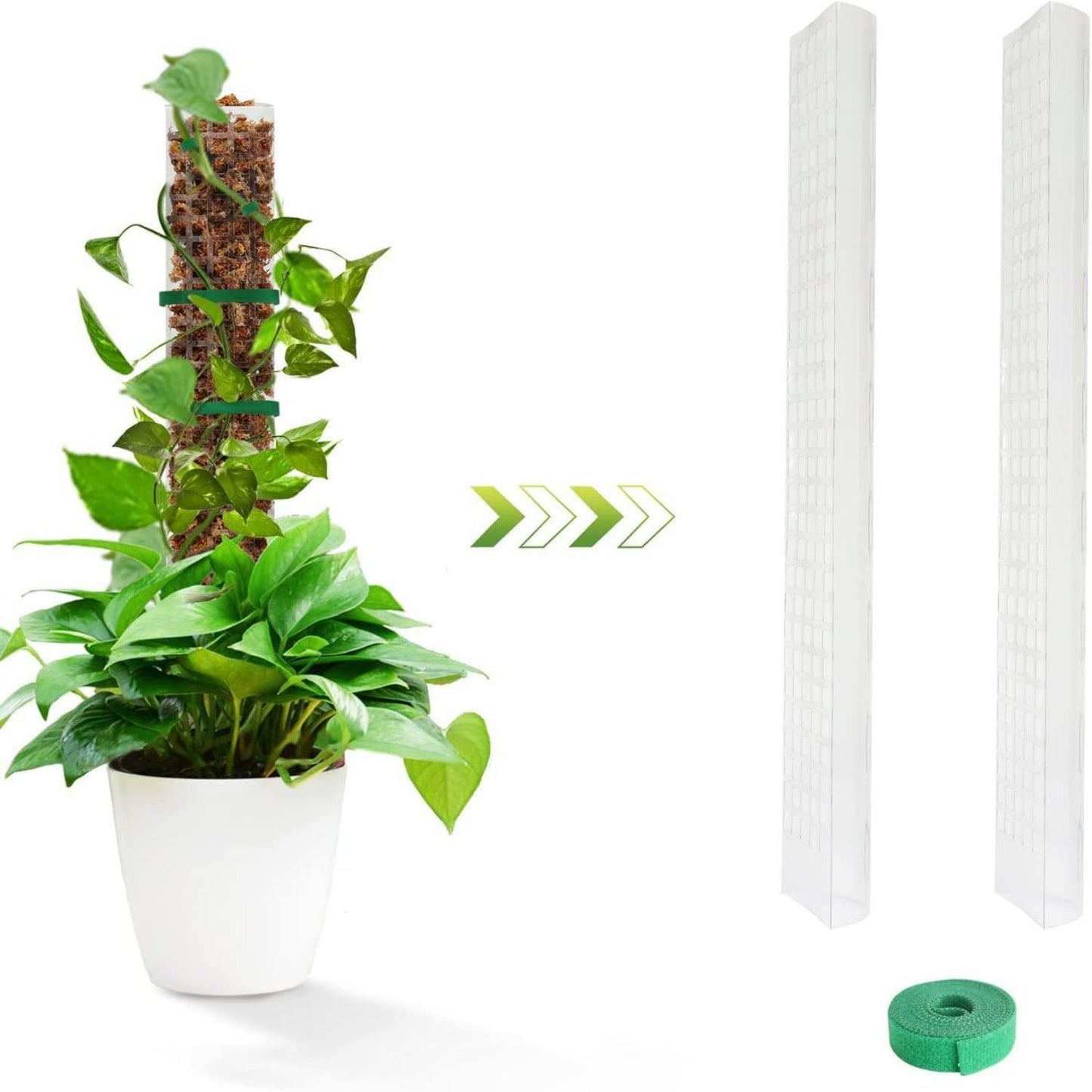 Semi-circular Plant Plastic Moss Pole Plant Stake